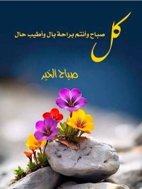 صورة Asd
