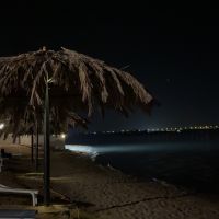صورة الشمري
