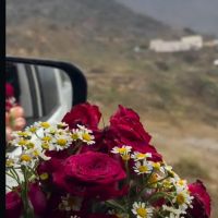 صورة N