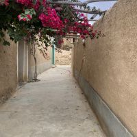 صورة Abdallah