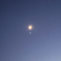 صورة عنبه