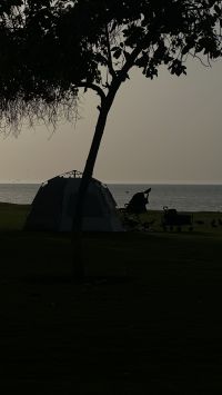 صورة Abeer