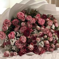صورة soso