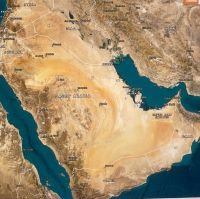 صورة Ali