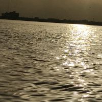 صورة Salem
