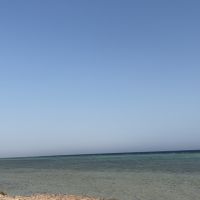 صورة Mohammed