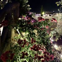 صورة ابراهيم