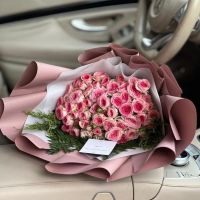صورة Safaa