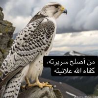 صورة فهد