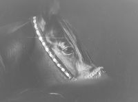 صورة E