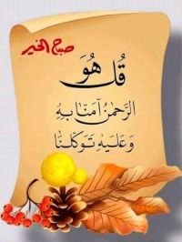 صورة السيدالخضيرى رقم 2