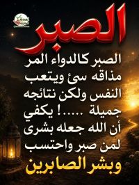صورة السيدالخضيرى رقم 3