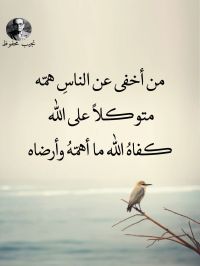 صورة السيدالخضيرى رقم 4