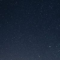 صورة ياسر