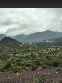 صورة عبدالسلام
