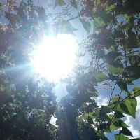 صورة اموله رقم 2