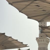 صورة اموله رقم 3