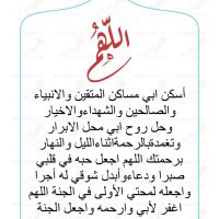 صورة amal