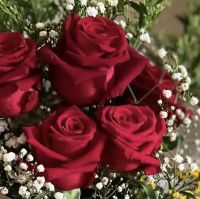 صورة Foz