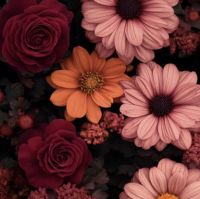 صورة Nouf