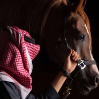 صورة فيصل