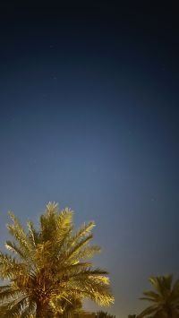 صورة ام ريان
