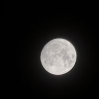 صورة عبدالله