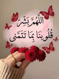 صورة SAM رقم 3