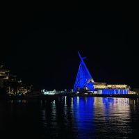 صورة Y