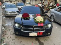 صورة sobhy رقم 2