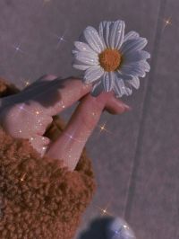 صورة لارين