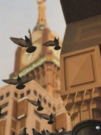 صورة علاء رقم 2