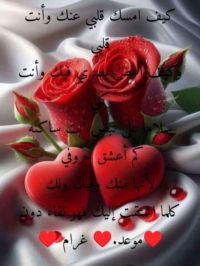 صورة مصطفي