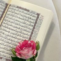 صورة شوش