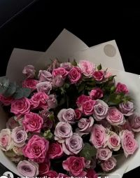 صورة ورد. 🌹