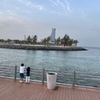 صورة فيصل