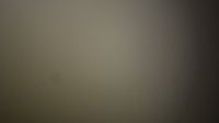 صورة سالم