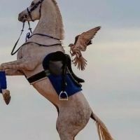 صورة مصعب رقم 4