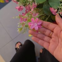 صورة MARAM رقم 2