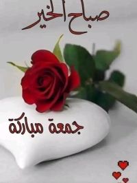 صورة noura رقم 2