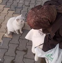 صورة hiba رقم 4