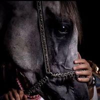 صورة سعود