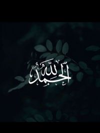 صورة mohammed رقم 2