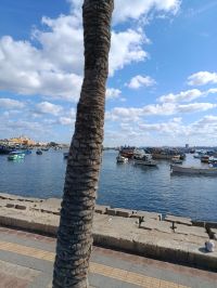 صورة Randa رقم 4