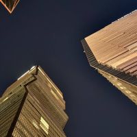 صورة تغريد