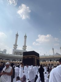 صورة حمدي رقم 4