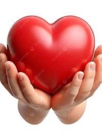 صورة دودي رقم 2