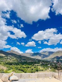 صورة ابو رقم 2