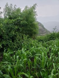 صورة ابو رقم 4