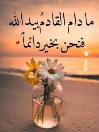 صورة Ahmad رقم 4